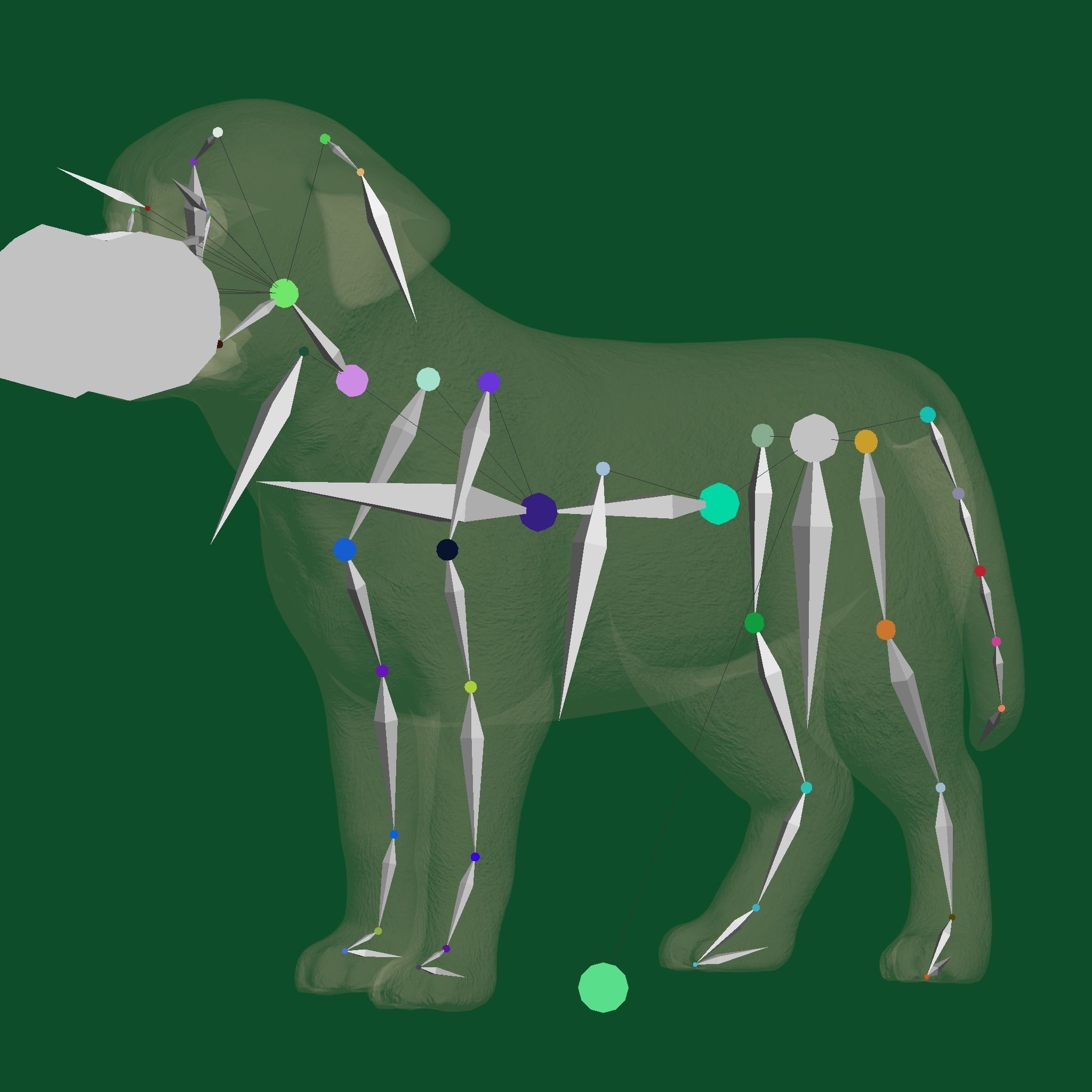 Belgian Shepherd Puppy - Game-Ready 3D Model - View 11