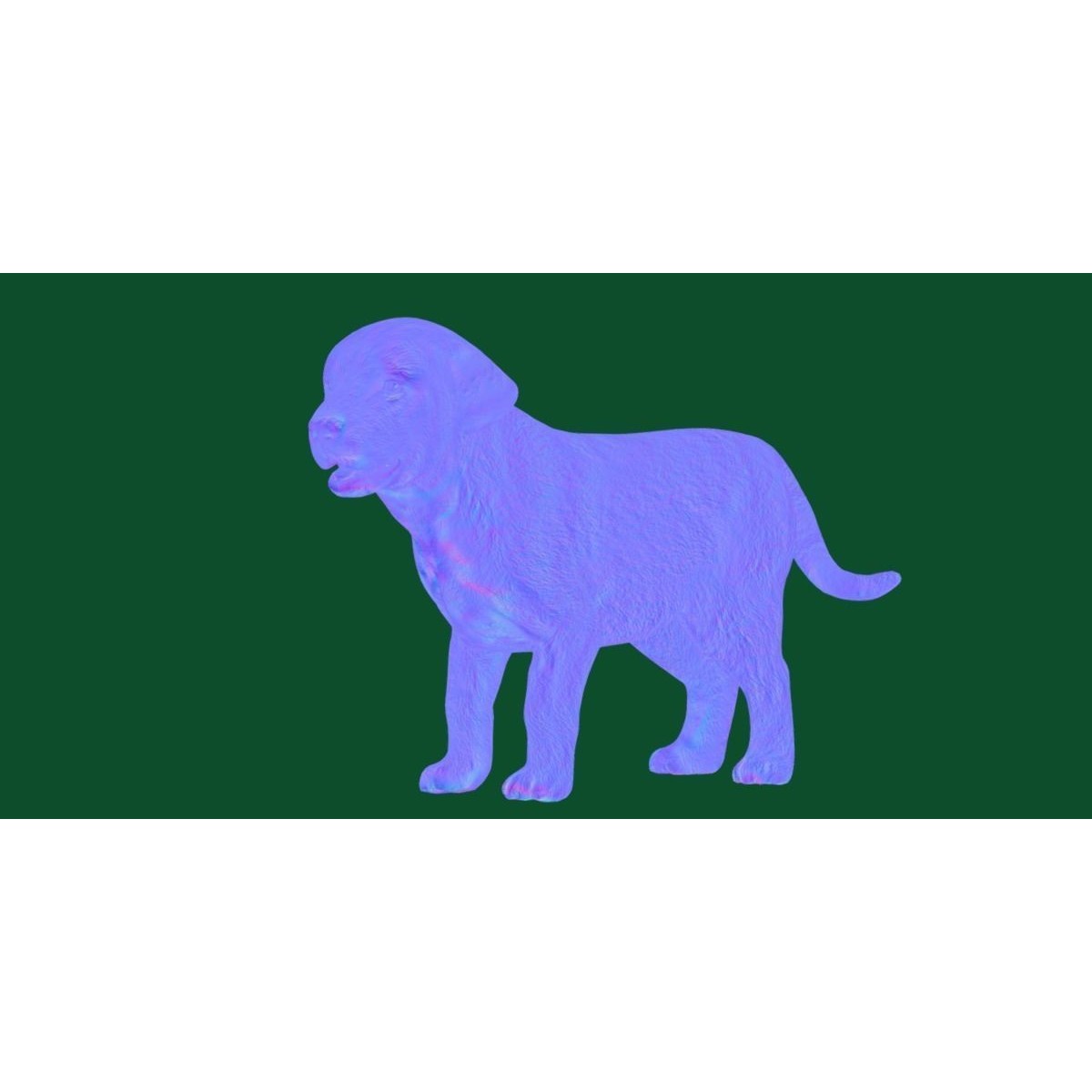 Belgian Shepherd Puppy - Game-Ready 3D Model - View 19