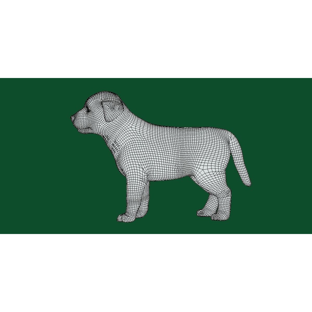 Belgian Shepherd Puppy - Game-Ready 3D Model - View 7