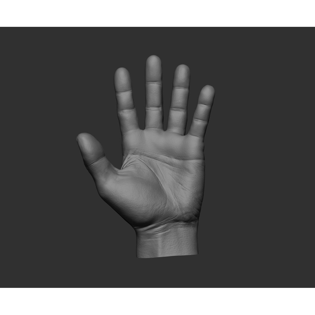 Realistic Male Hands 3D Model – High Poly Collection, FBX, OBJ
