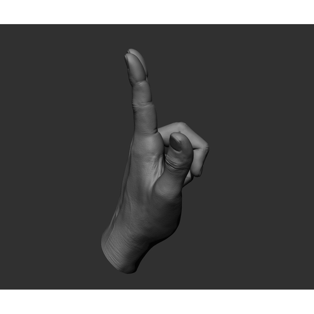 Realistic Male Hands 3D Model – High Poly Collection, FBX, OBJ - View 10