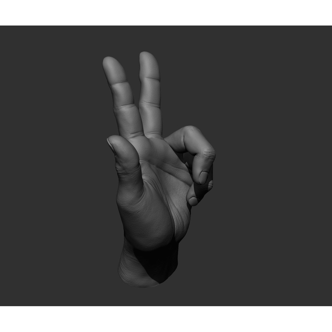 Realistic Male Hands 3D Model – High Poly Collection, FBX, OBJ - View 11
