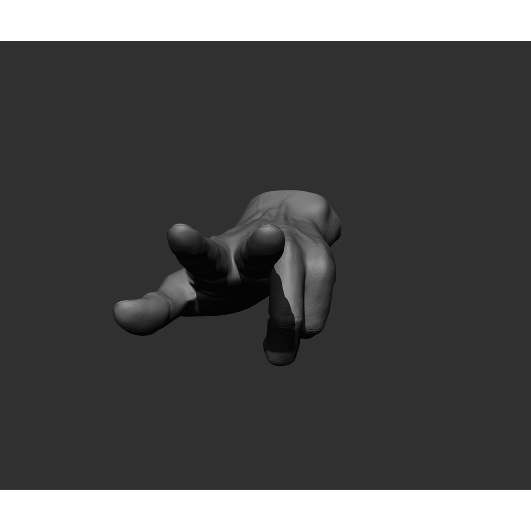 Realistic Male Hands 3D Model – High Poly Collection, FBX, OBJ - View 12