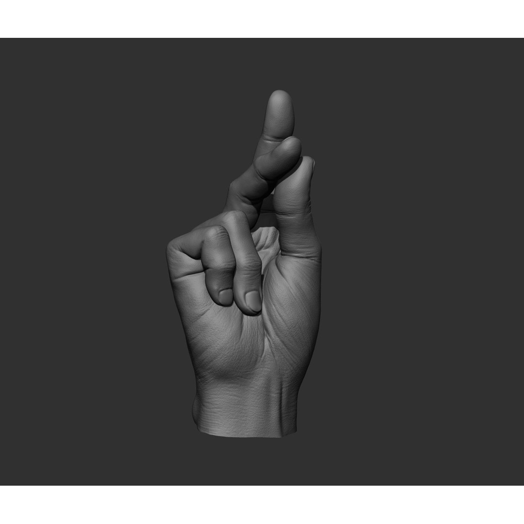 Realistic Male Hands 3D Model – High Poly Collection, FBX, OBJ - View 13