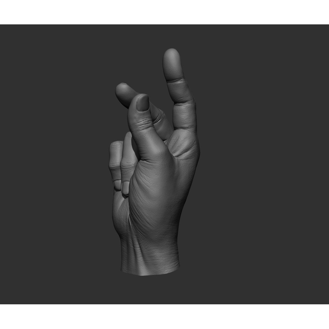 Realistic Male Hands 3D Model – High Poly Collection, FBX, OBJ - View 15