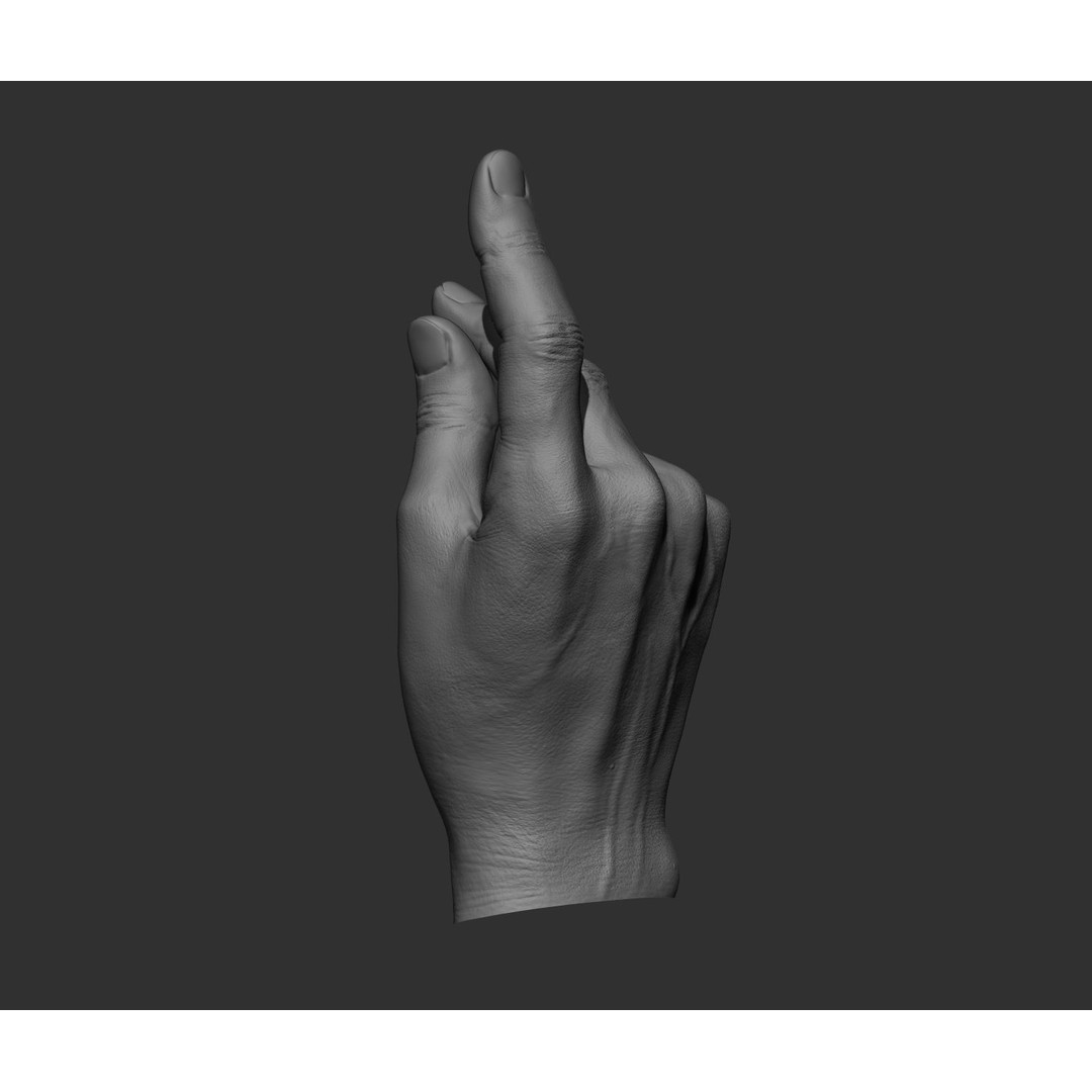 Realistic Male Hands 3D Model – High Poly Collection, FBX, OBJ - View 19