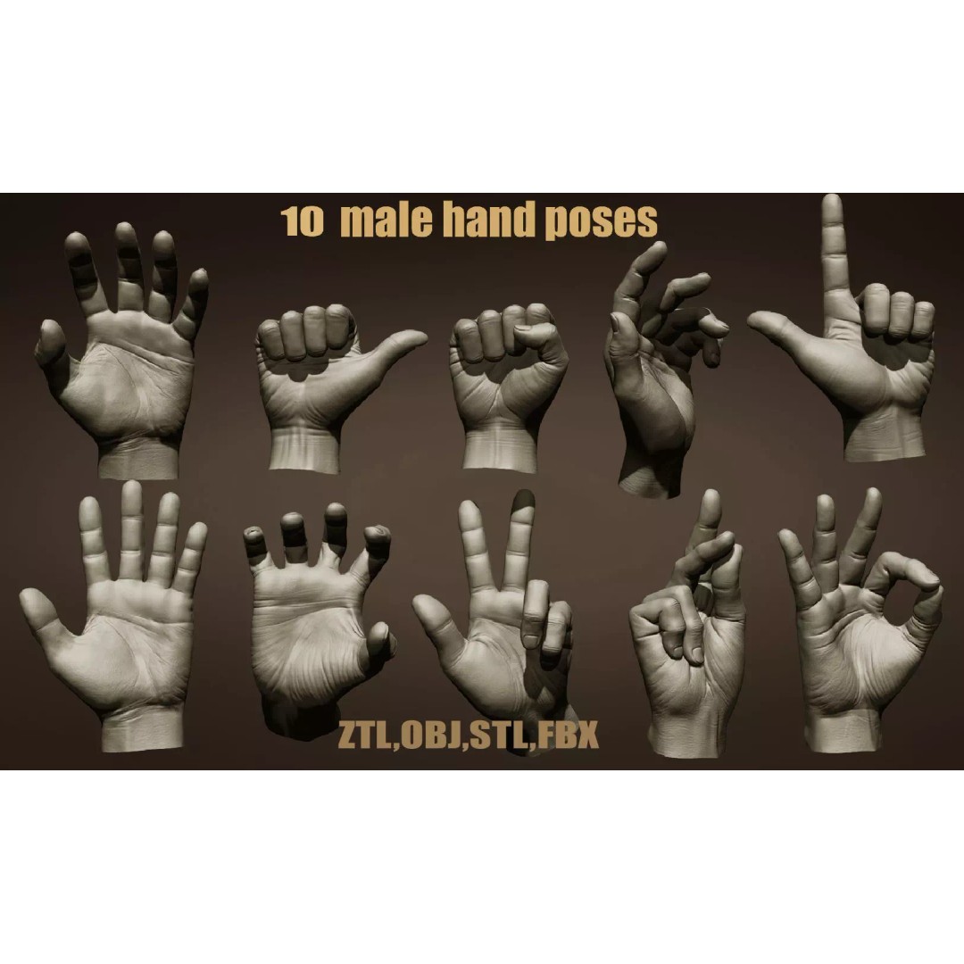 Realistic Male Hands 3D Model – High Poly Collection, FBX, OBJ - View 2