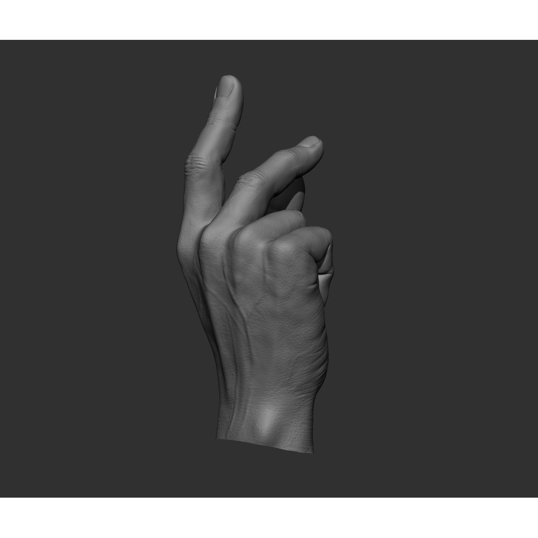 Realistic Male Hands 3D Model – High Poly Collection, FBX, OBJ - View 20