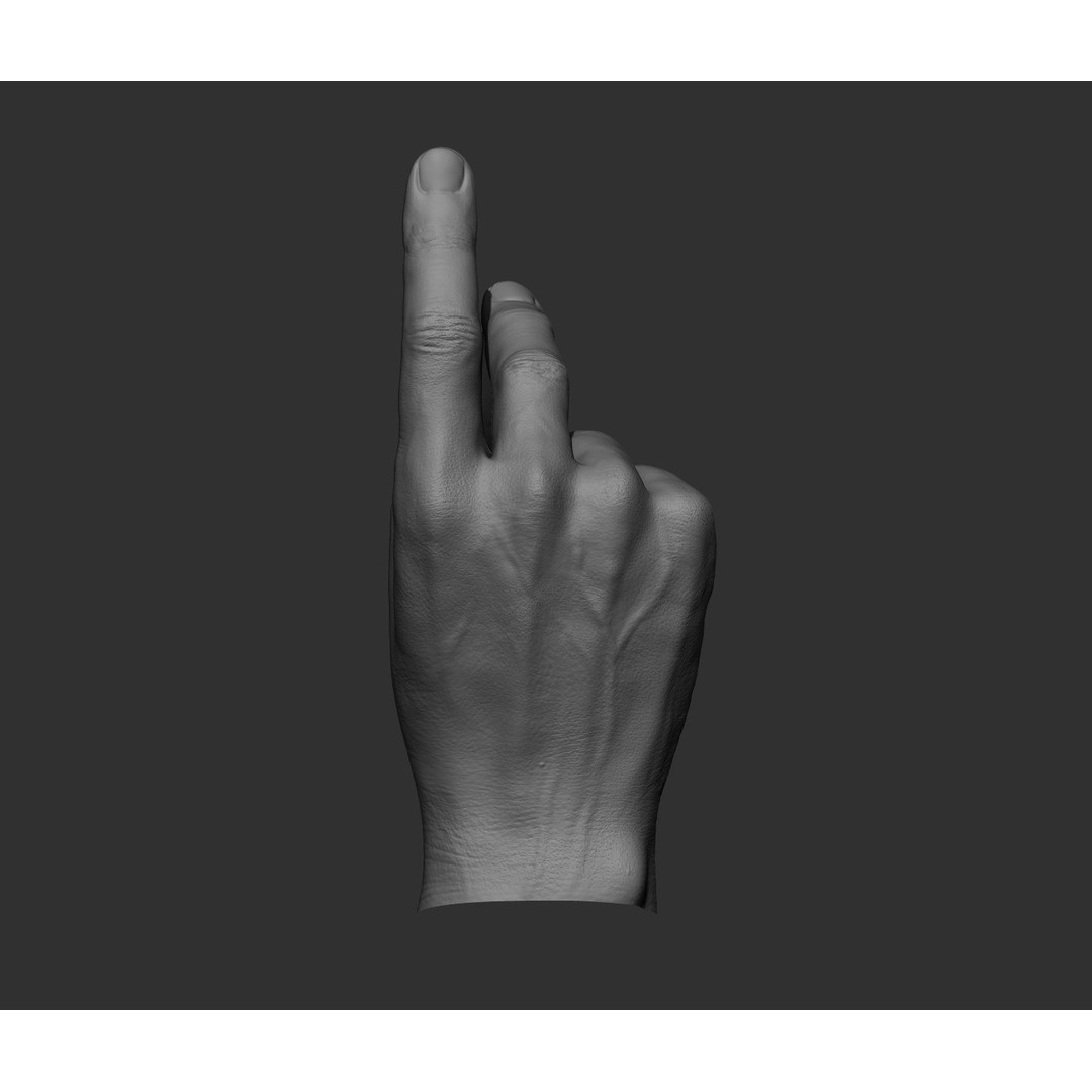Realistic Male Hands 3D Model – High Poly Collection, FBX, OBJ - View 21