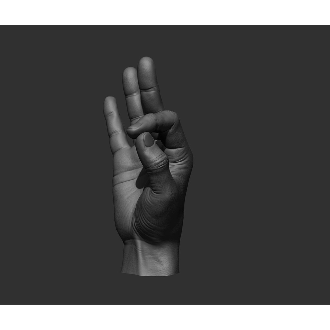 Realistic Male Hands 3D Model – High Poly Collection, FBX, OBJ - View 22
