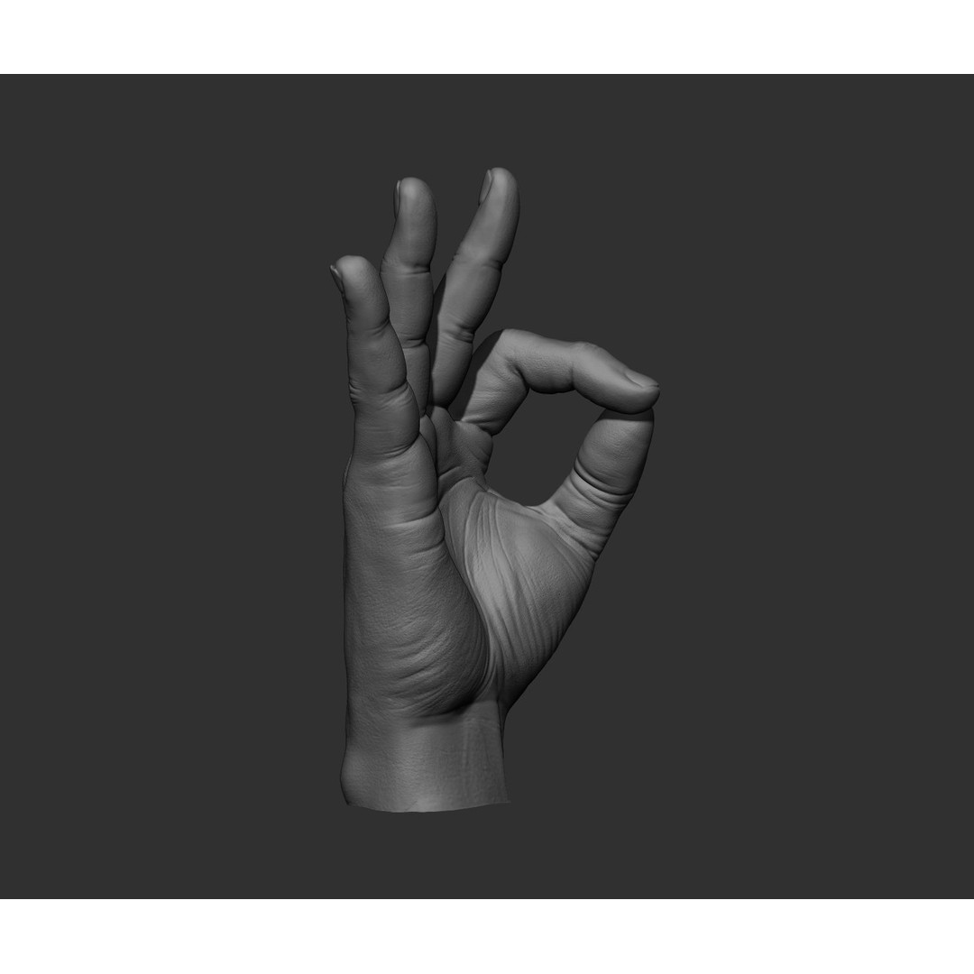 Realistic Male Hands 3D Model – High Poly Collection, FBX, OBJ - View 23