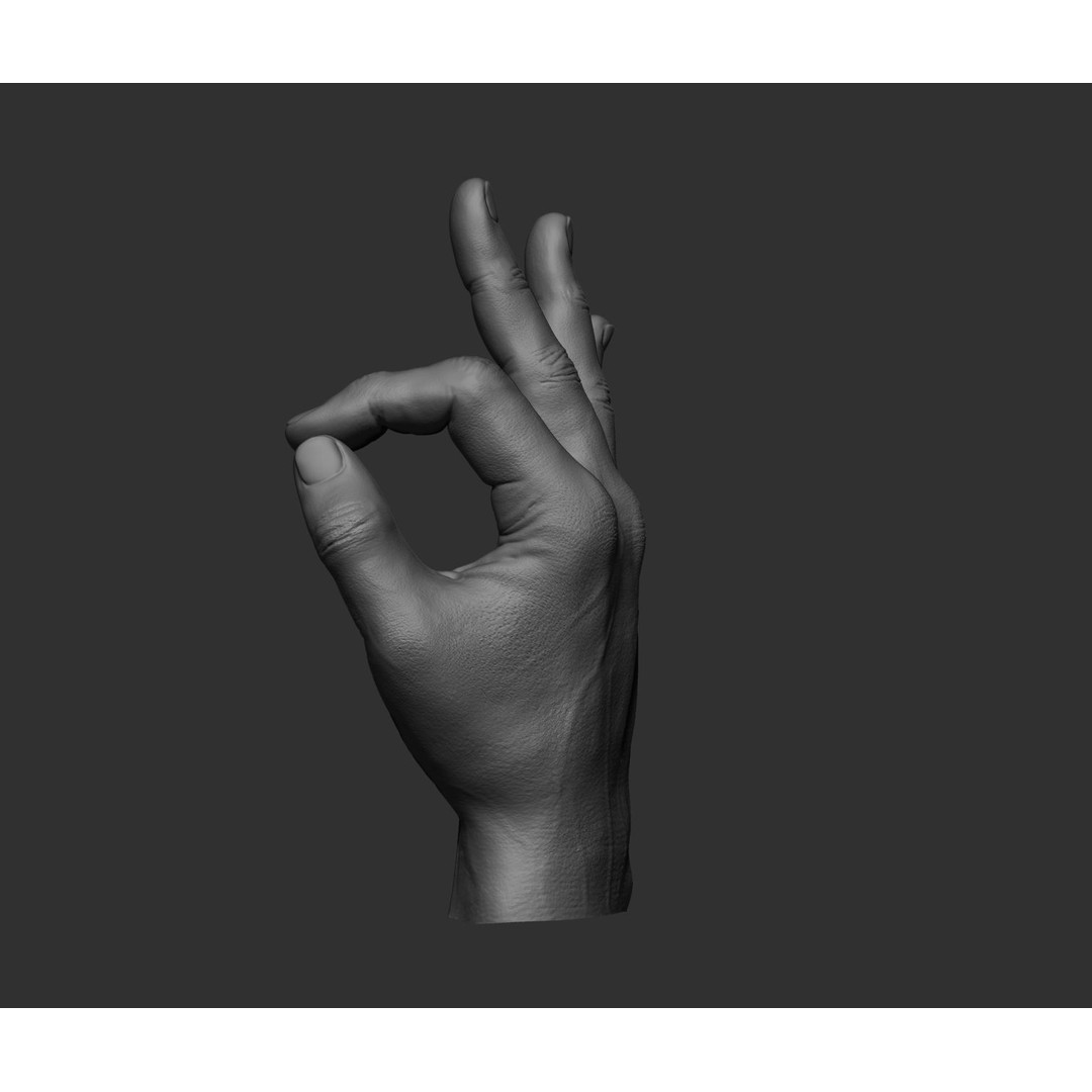 Realistic Male Hands 3D Model – High Poly Collection, FBX, OBJ - View 24