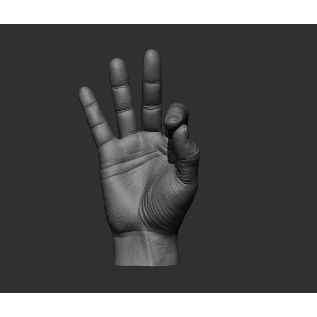 Realistic Male Hands 3D Model – High Poly Collection, FBX, OBJ - View 25