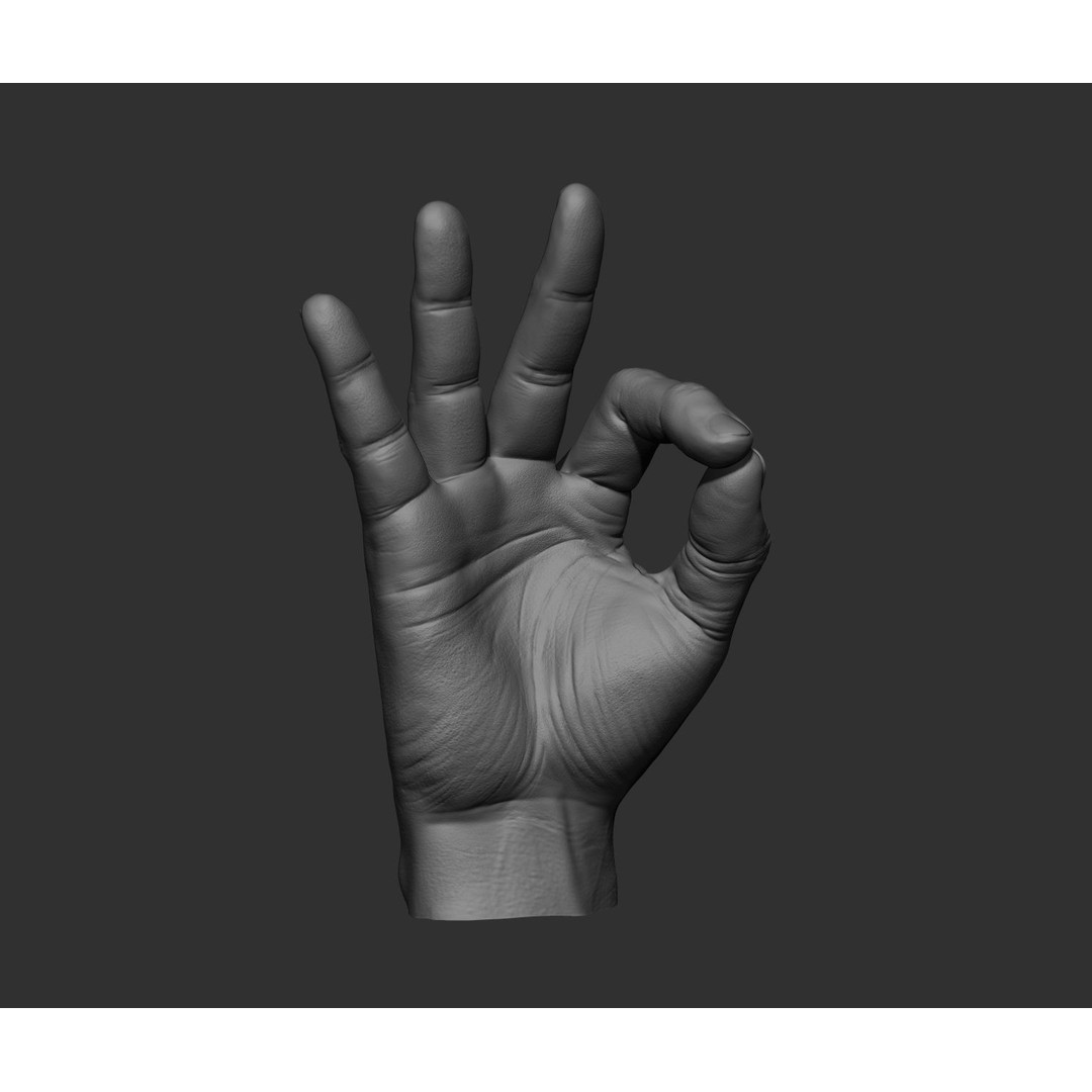 Realistic Male Hands 3D Model – High Poly Collection, FBX, OBJ - View 26