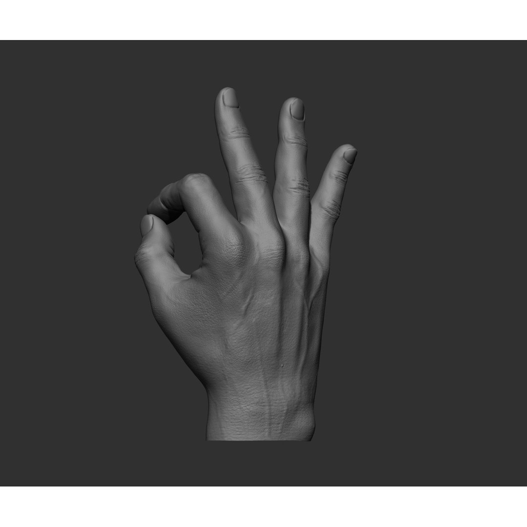 Realistic Male Hands 3D Model – High Poly Collection, FBX, OBJ - View 27