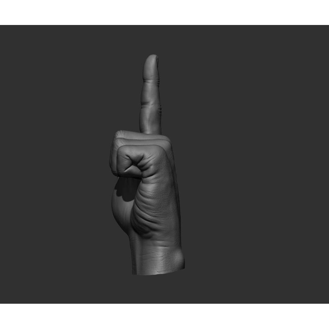 Realistic Male Hands 3D Model – High Poly Collection, FBX, OBJ - View 29