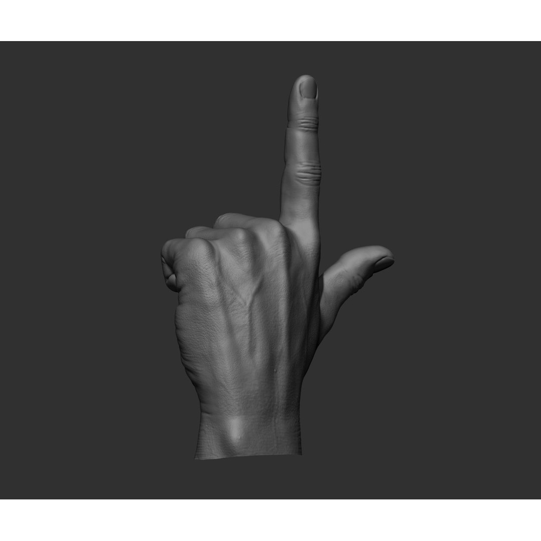 Realistic Male Hands 3D Model – High Poly Collection, FBX, OBJ - View 30