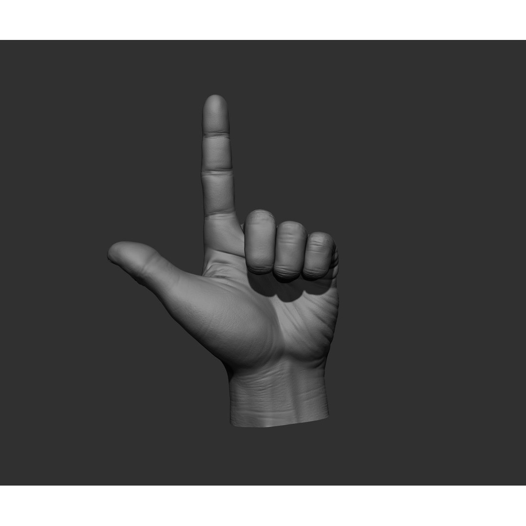 Realistic Male Hands 3D Model – High Poly Collection, FBX, OBJ - View 31