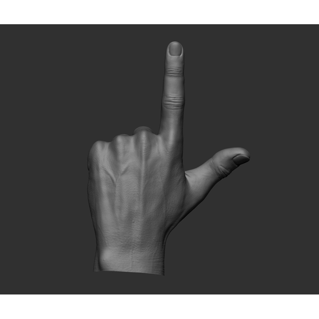 Realistic Male Hands 3D Model – High Poly Collection, FBX, OBJ - View 32