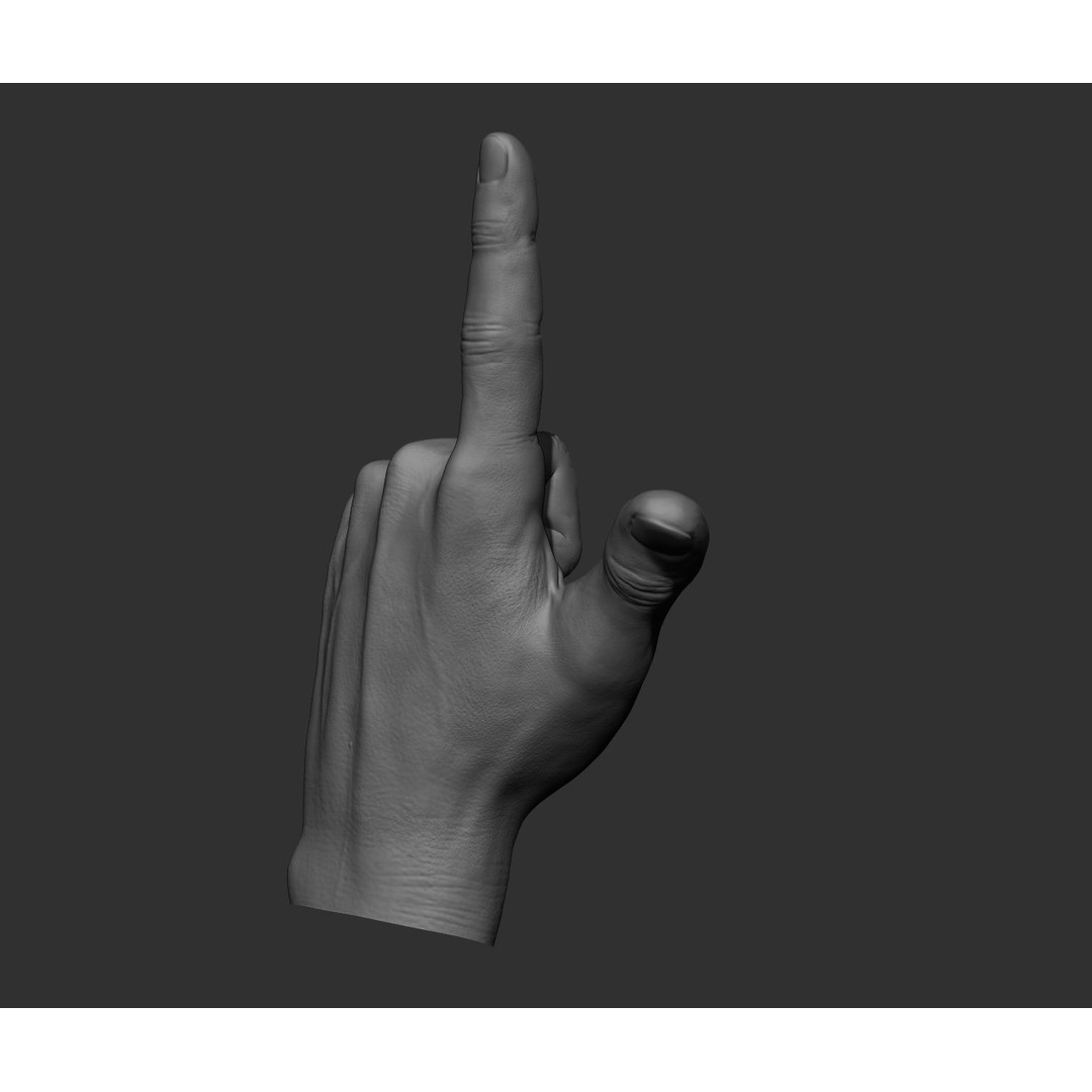 Realistic Male Hands 3D Model – High Poly Collection, FBX, OBJ - View 33
