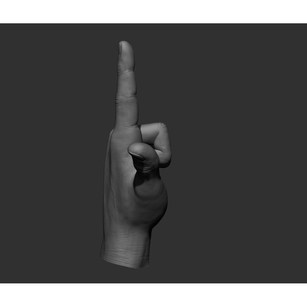 Realistic Male Hands 3D Model – High Poly Collection, FBX, OBJ - View 34