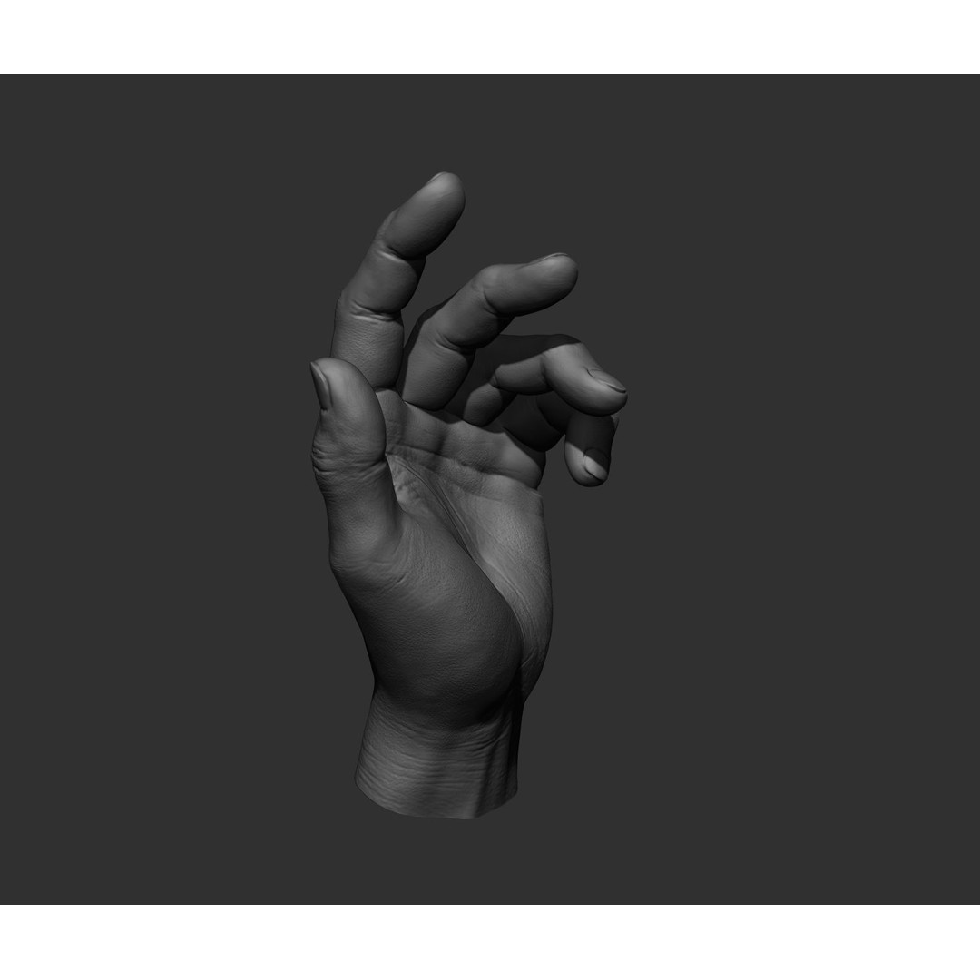 Realistic Male Hands 3D Model – High Poly Collection, FBX, OBJ - View 36