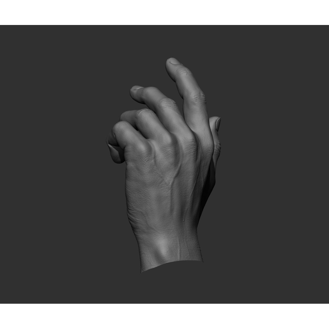 Realistic Male Hands 3D Model – High Poly Collection, FBX, OBJ - View 37
