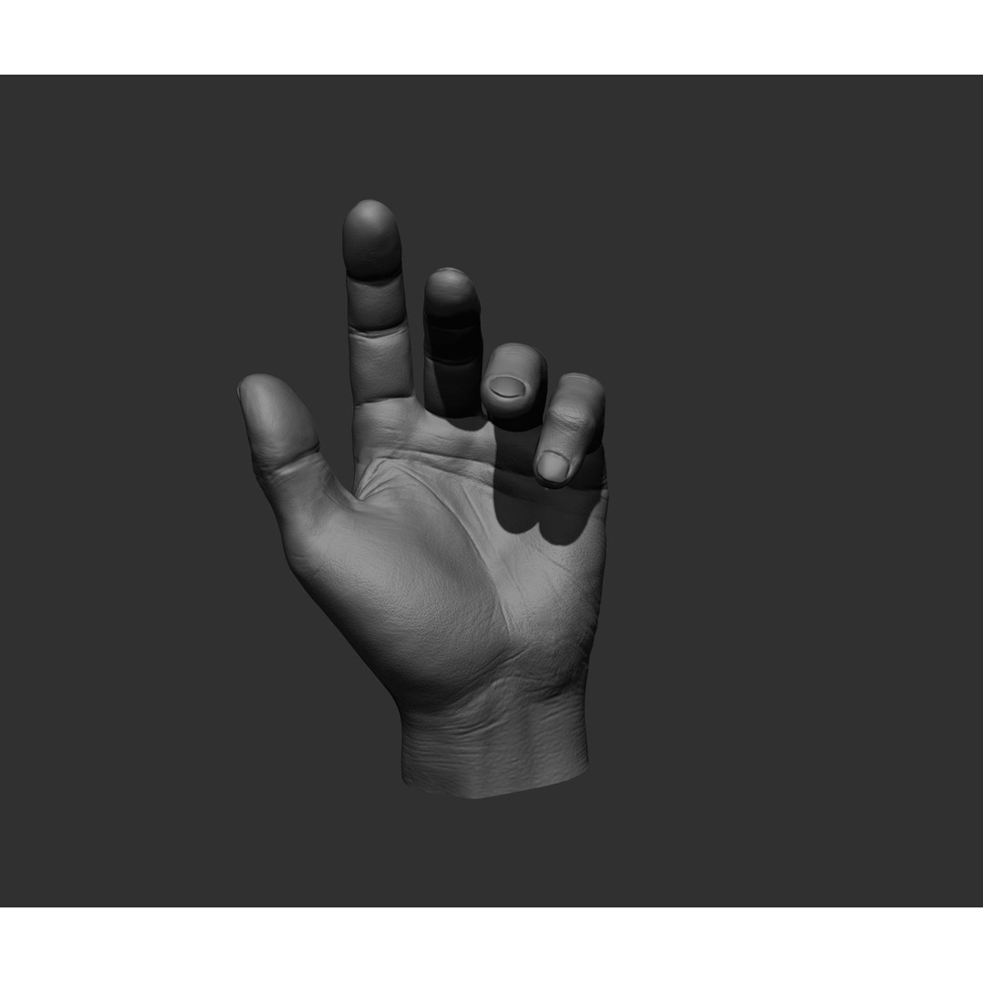 Realistic Male Hands 3D Model – High Poly Collection, FBX, OBJ - View 38