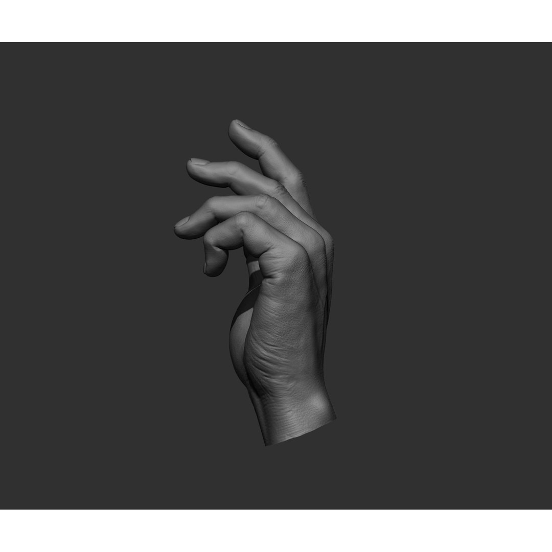 Realistic Male Hands 3D Model – High Poly Collection, FBX, OBJ - View 39