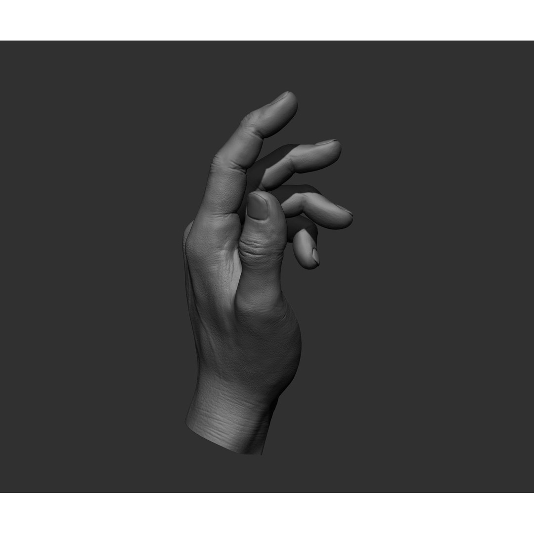 Realistic Male Hands 3D Model – High Poly Collection, FBX, OBJ - View 41