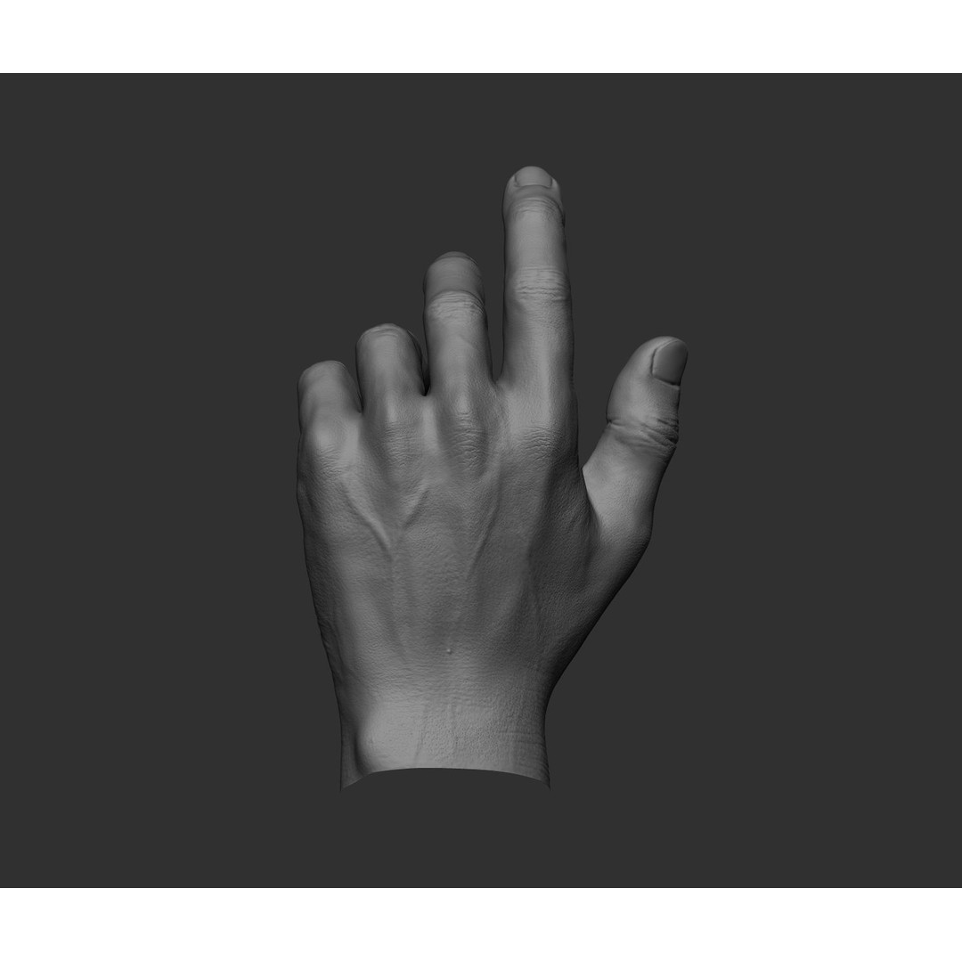 Realistic Male Hands 3D Model – High Poly Collection, FBX, OBJ - View 43