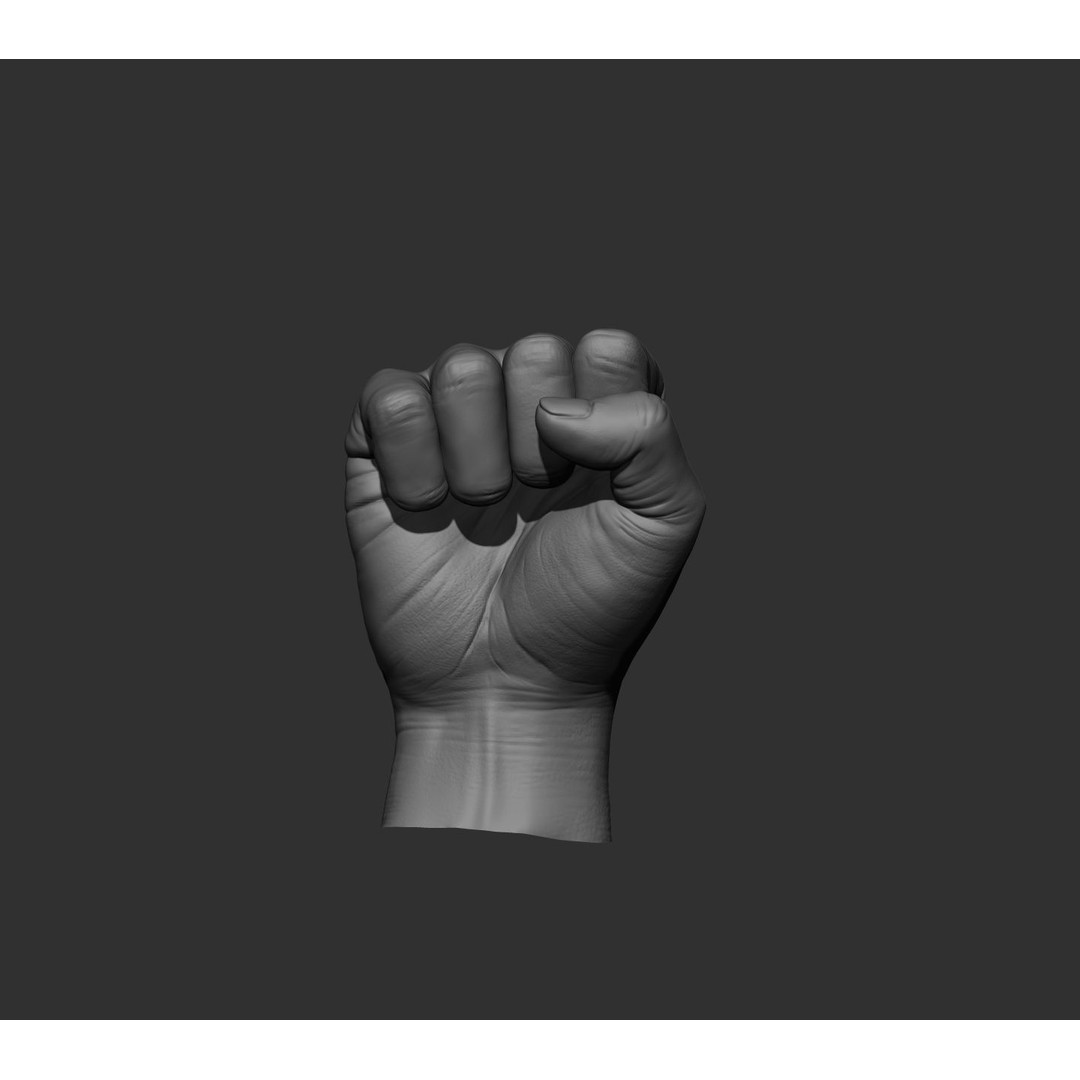 Realistic Male Hands 3D Model – High Poly Collection, FBX, OBJ - View 44