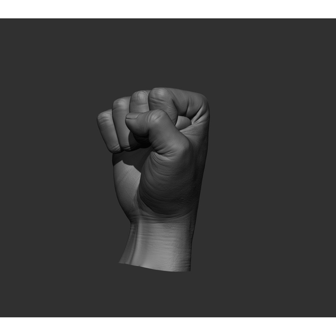 Realistic Male Hands 3D Model – High Poly Collection, FBX, OBJ - View 45