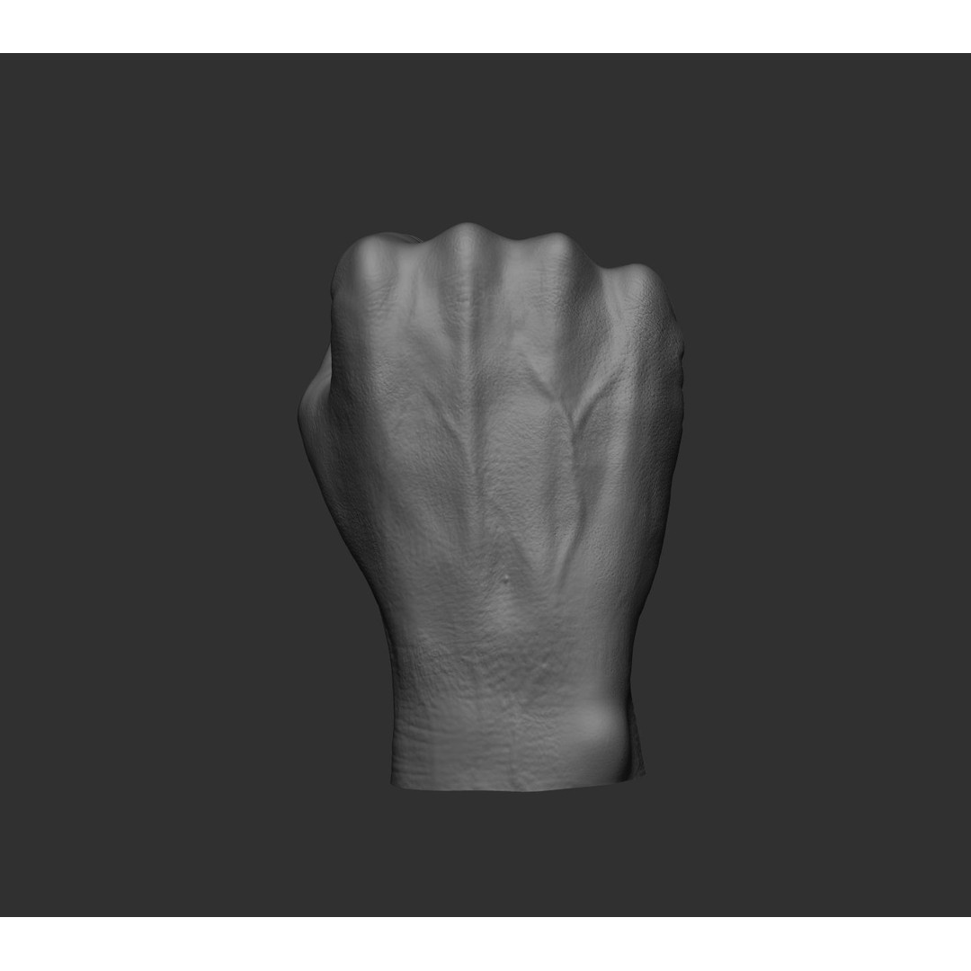 Realistic Male Hands 3D Model – High Poly Collection, FBX, OBJ - View 46