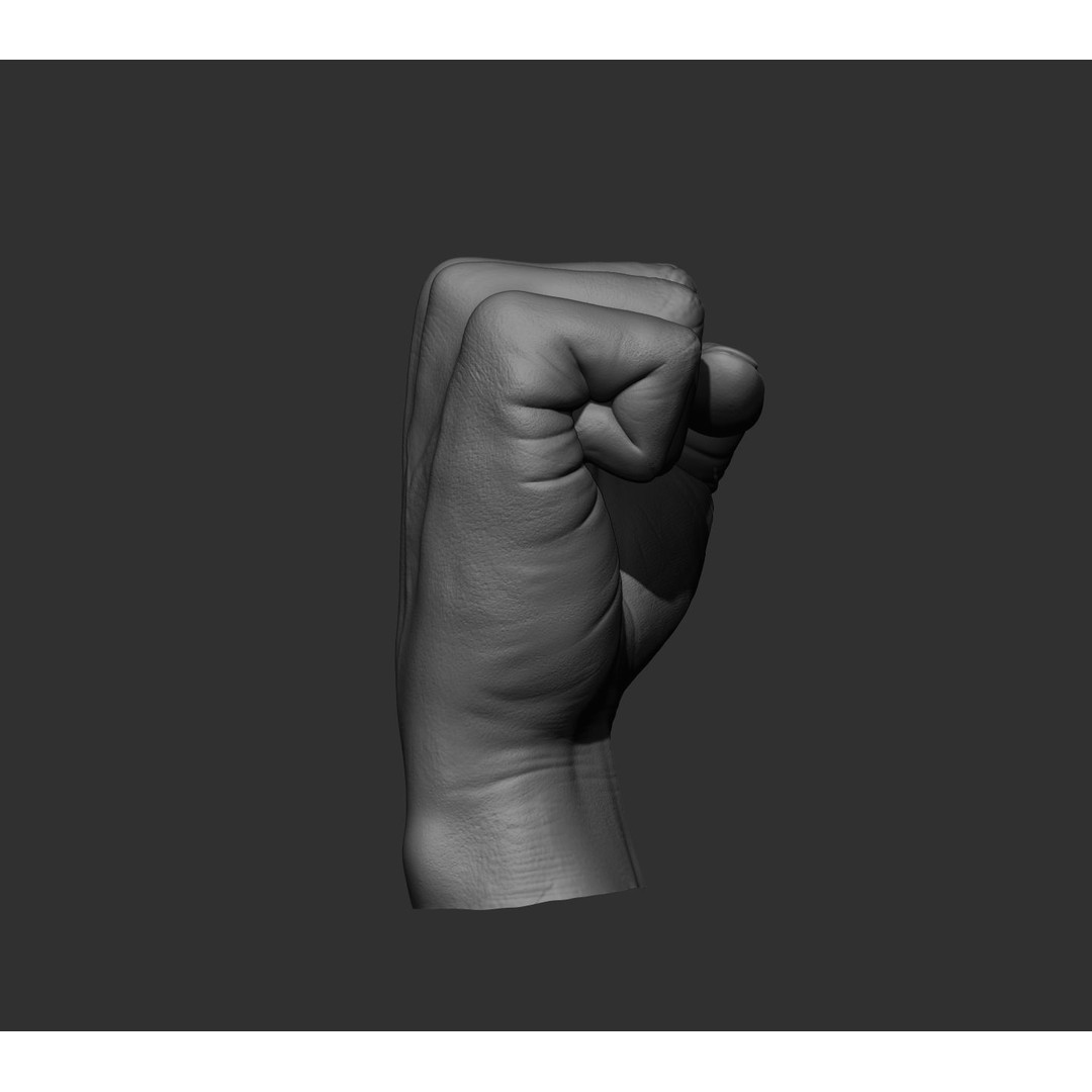 Realistic Male Hands 3D Model – High Poly Collection, FBX, OBJ - View 47