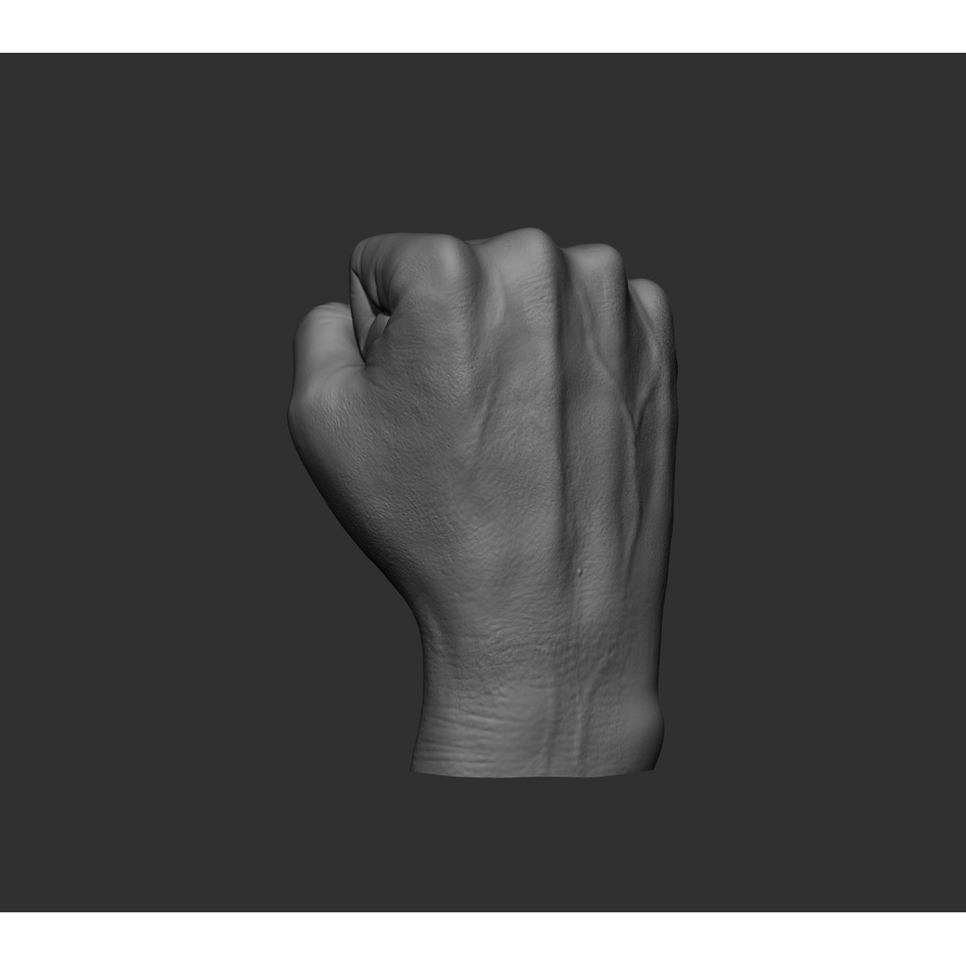 Realistic Male Hands 3D Model – High Poly Collection, FBX, OBJ - View 48