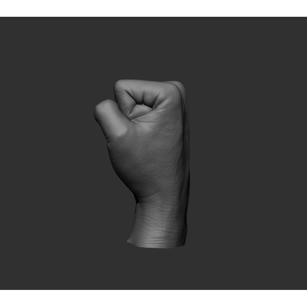Realistic Male Hands 3D Model – High Poly Collection, FBX, OBJ - View 49