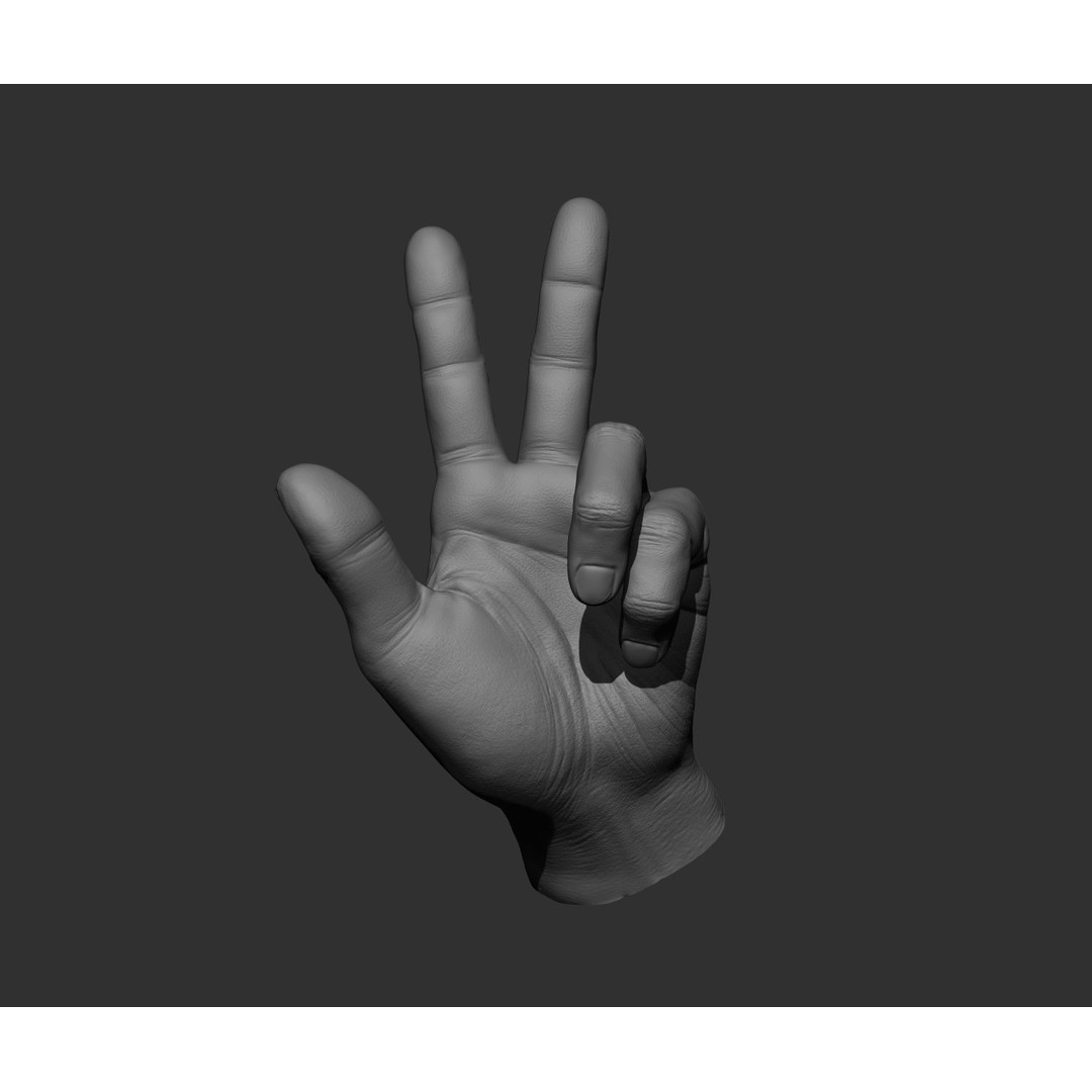 Realistic Male Hands 3D Model – High Poly Collection, FBX, OBJ - View 5