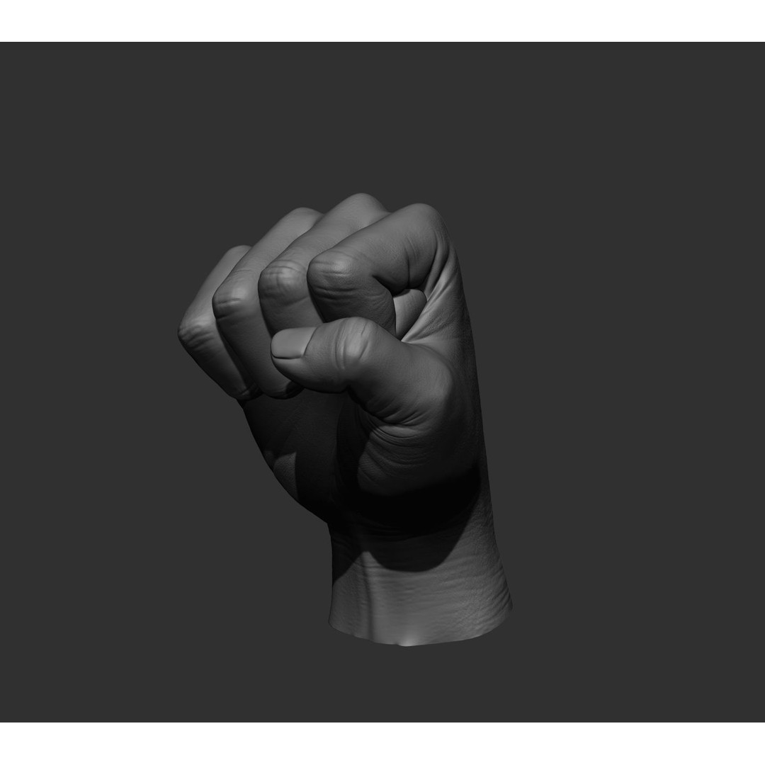 Realistic Male Hands 3D Model – High Poly Collection, FBX, OBJ - View 50