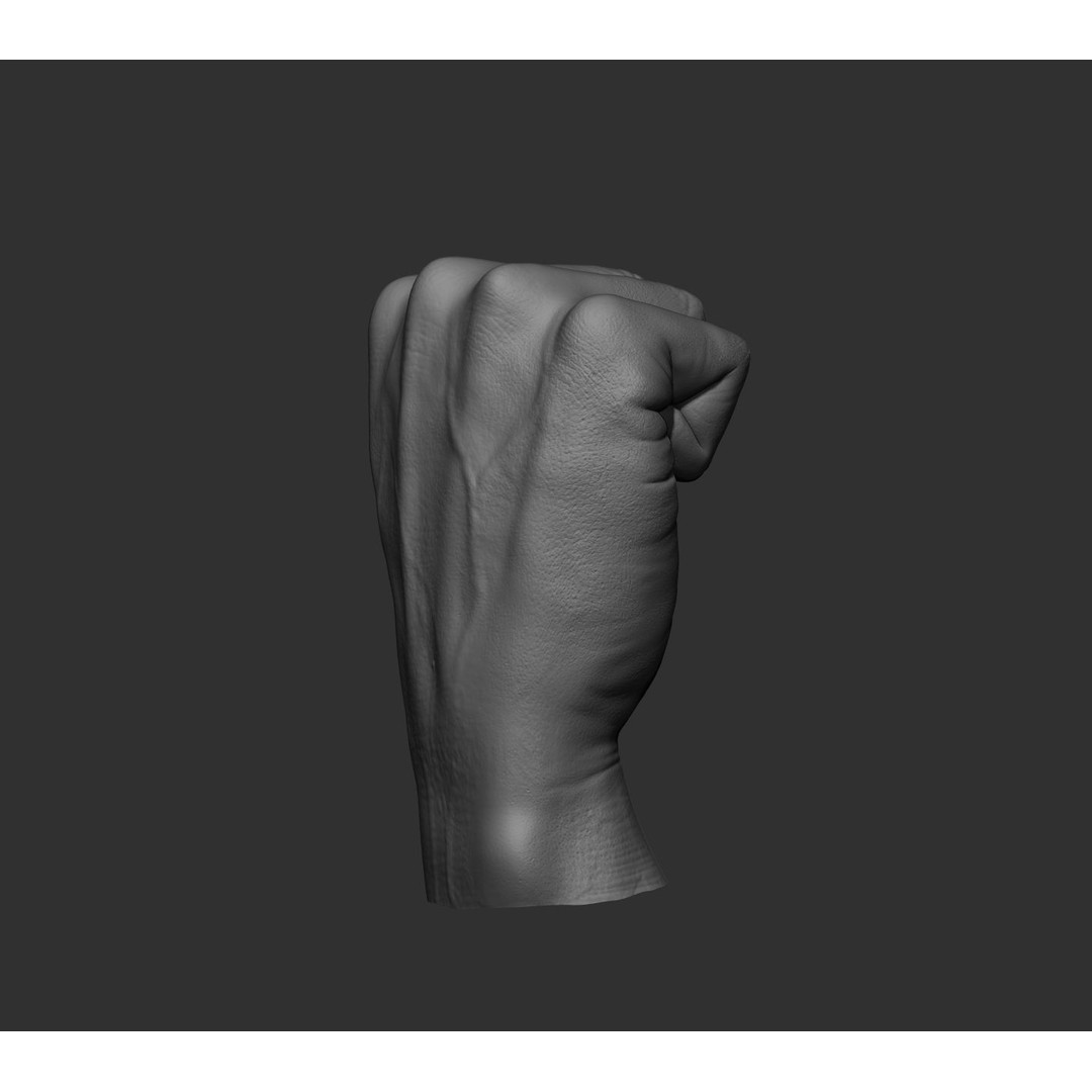 Realistic Male Hands 3D Model – High Poly Collection, FBX, OBJ - View 51