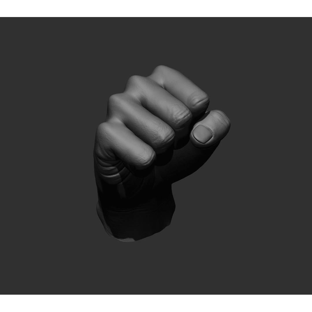 Realistic Male Hands 3D Model – High Poly Collection, FBX, OBJ - View 52