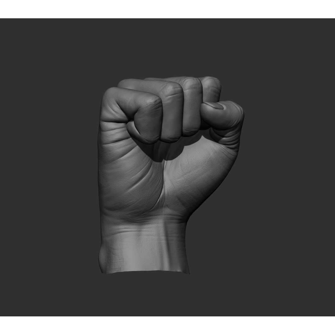 Realistic Male Hands 3D Model – High Poly Collection, FBX, OBJ - View 53