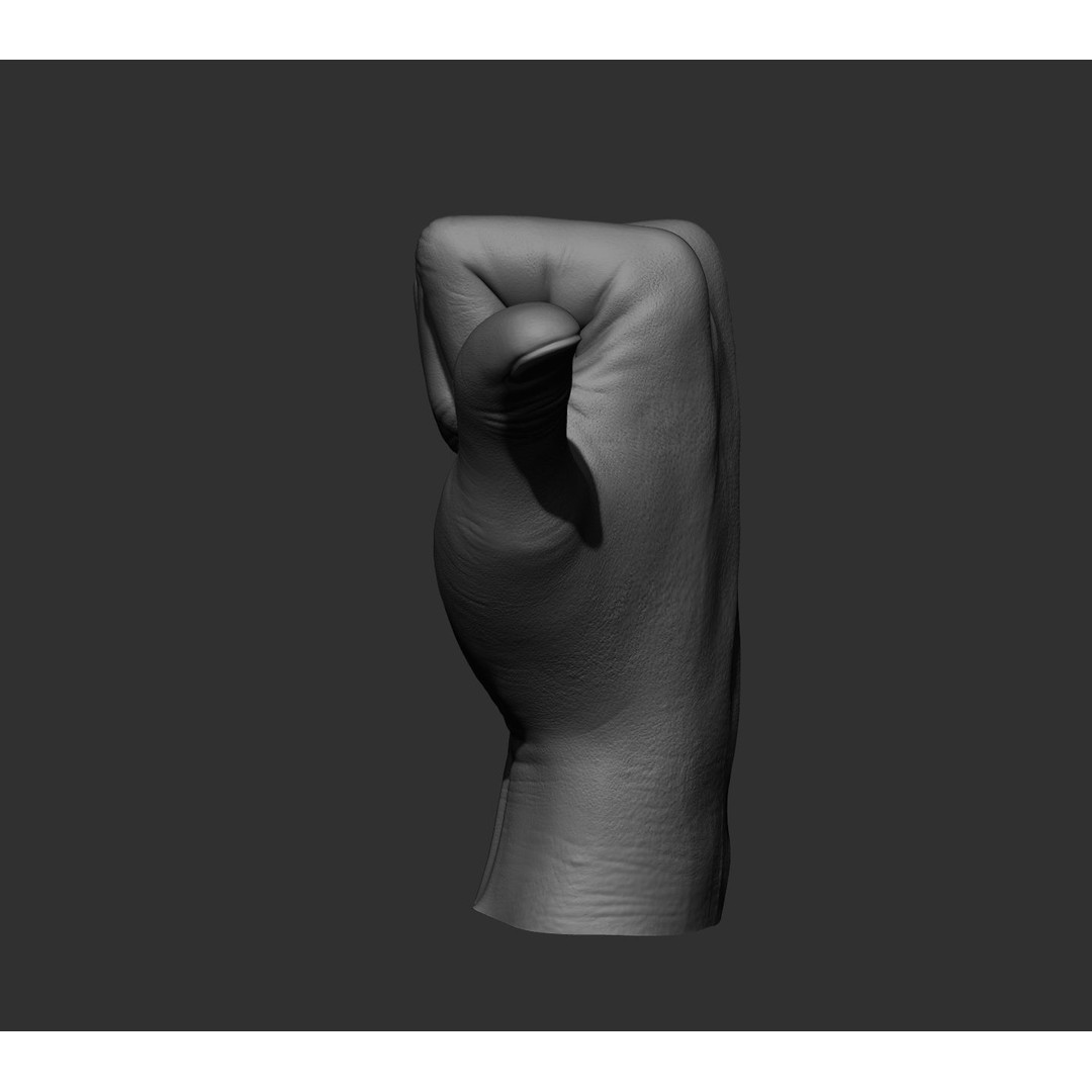 Realistic Male Hands 3D Model – High Poly Collection, FBX, OBJ - View 54