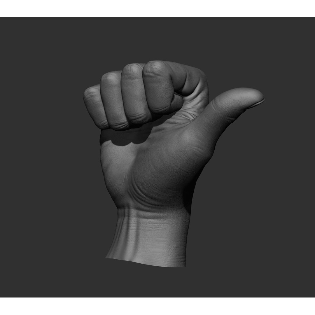 Realistic Male Hands 3D Model – High Poly Collection, FBX, OBJ - View 55