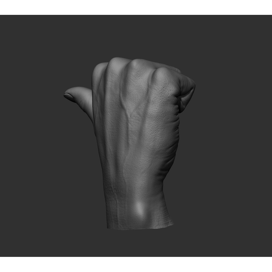 Realistic Male Hands 3D Model – High Poly Collection, FBX, OBJ - View 56