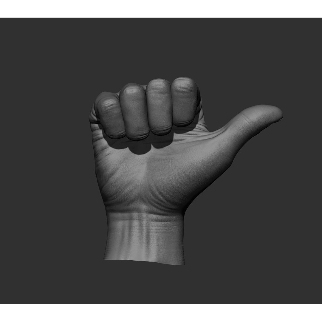 Realistic Male Hands 3D Model – High Poly Collection, FBX, OBJ - View 57