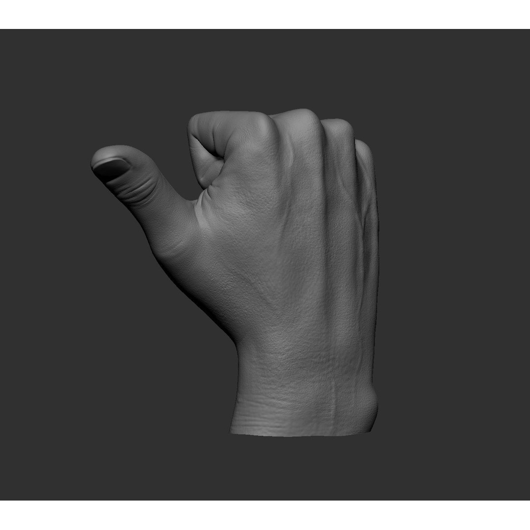 Realistic Male Hands 3D Model – High Poly Collection, FBX, OBJ - View 58