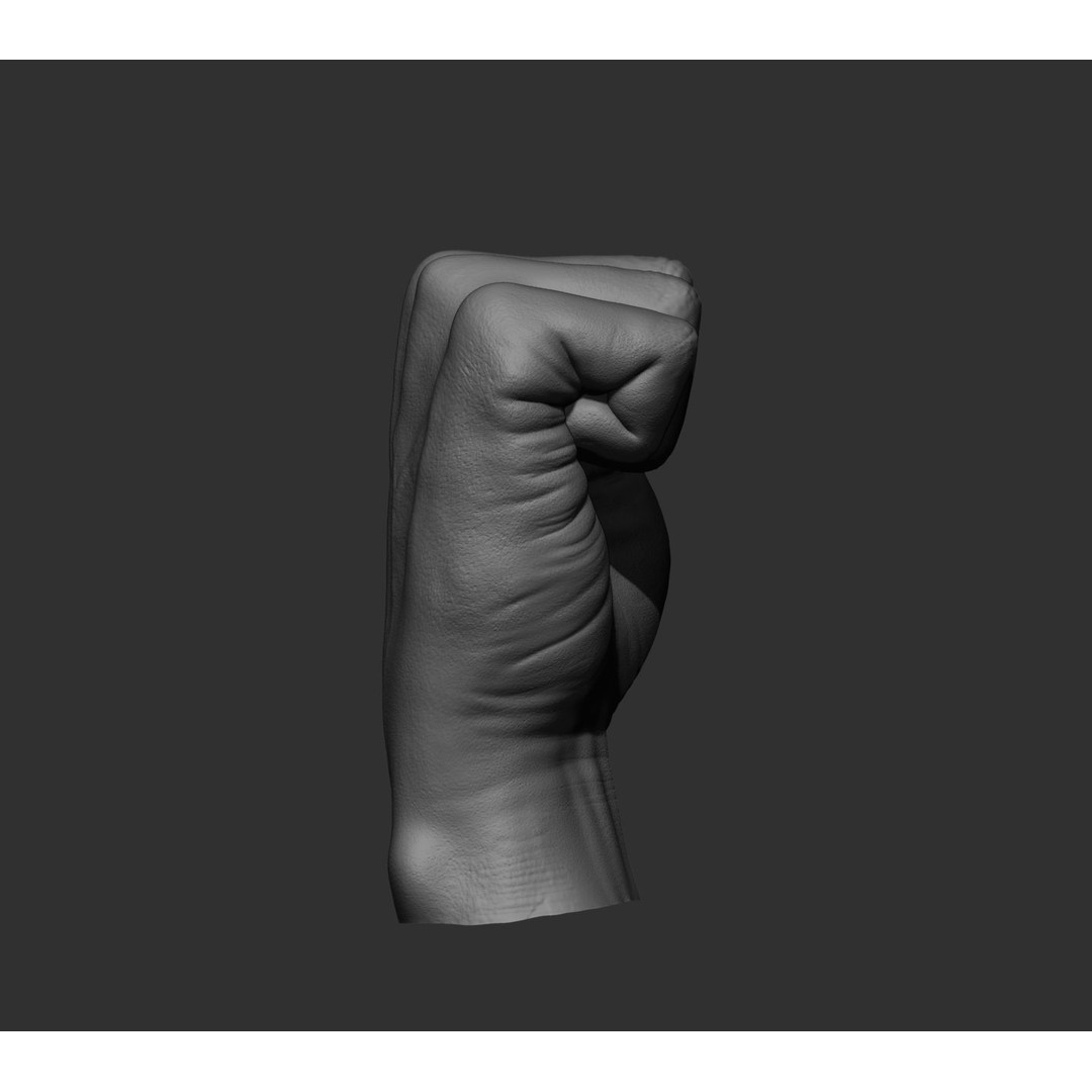 Realistic Male Hands 3D Model – High Poly Collection, FBX, OBJ - View 59