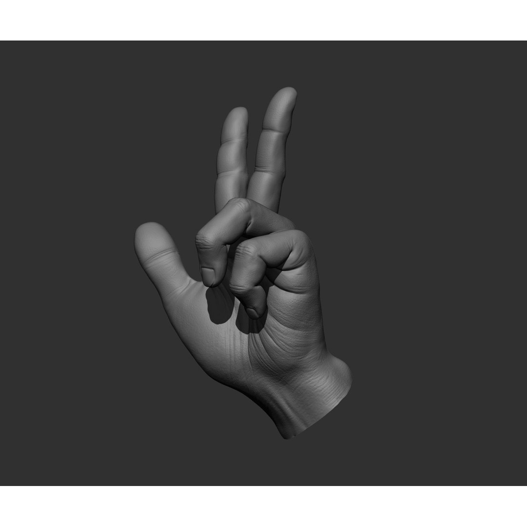 Realistic Male Hands 3D Model – High Poly Collection, FBX, OBJ - View 6