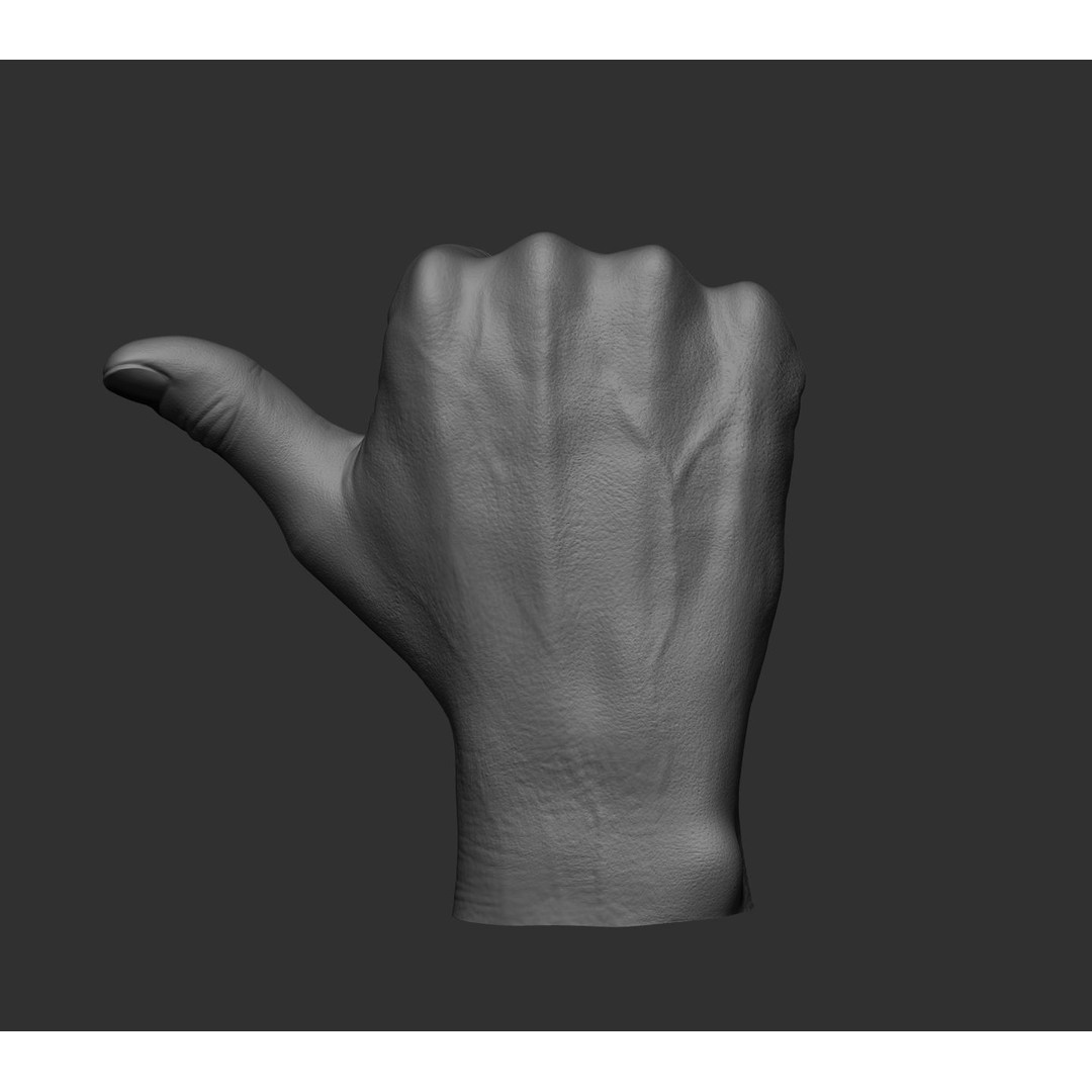 Realistic Male Hands 3D Model – High Poly Collection, FBX, OBJ - View 60